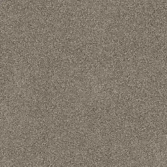 Triexta by Redbook Mountain Chalet Triexta Carpet